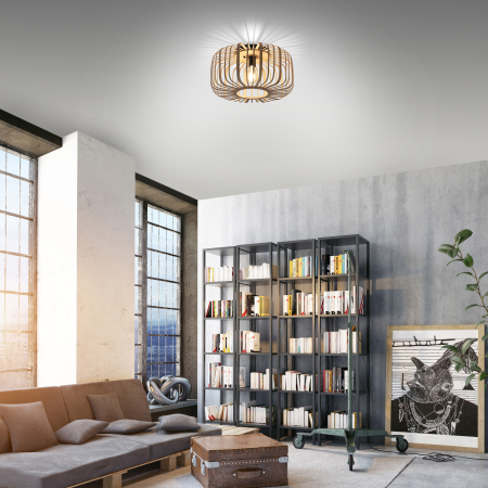 11413-79 RACOON LAMPA SUFITOWA