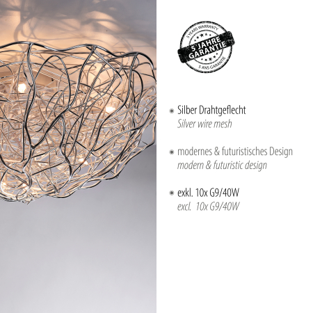 6190-21 CEILING LIGHT SAREA