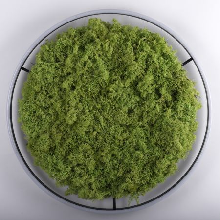 15392-66 GREEN RITUS LAMPA SUFITOWA NATURALNY MECH