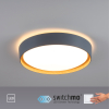 14347-15 EMILIA LAMPA SUFITOWA SZARY