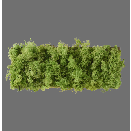 15637-66 GREN CARLO LAMPA SUFITOWA NATURALNY MECH