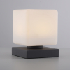 4036-13 DADOA LAMPA STOŁOWA ANTRACYT