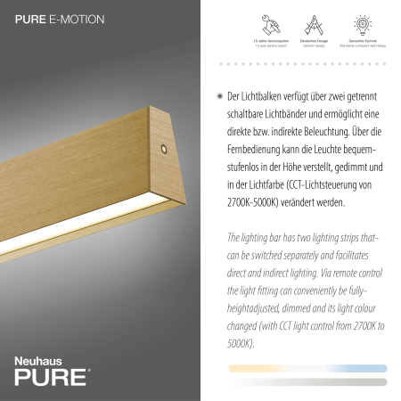 2570-60 PURE E-MOTION LAMPA WISZĄCA MATOWY MOSIĄDZ