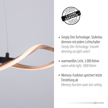 9142-18 POLIA LAMPA WISZĄCA CZARNY/ZŁOTY