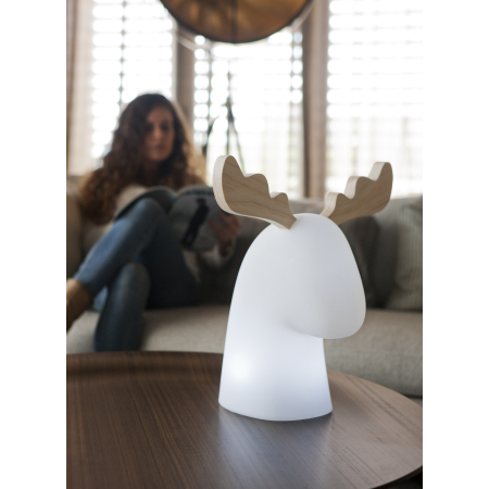 3139 RUDY 35 LAMPA ZEWNĘTRZNA BIAŁY