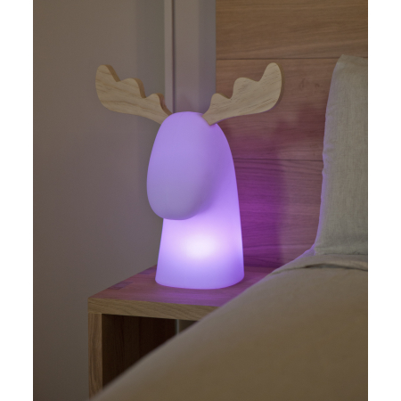 3139 RUDY 35 LAMPA ZEWNĘTRZNA BIAŁY