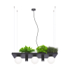 5555 PLANT SHELF LAMPA WISZĄCA CZARNA/BLACK